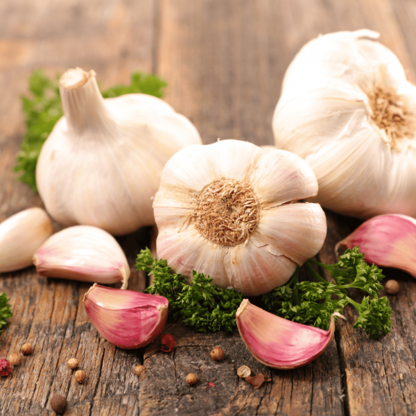 Garlic and Its Benefits